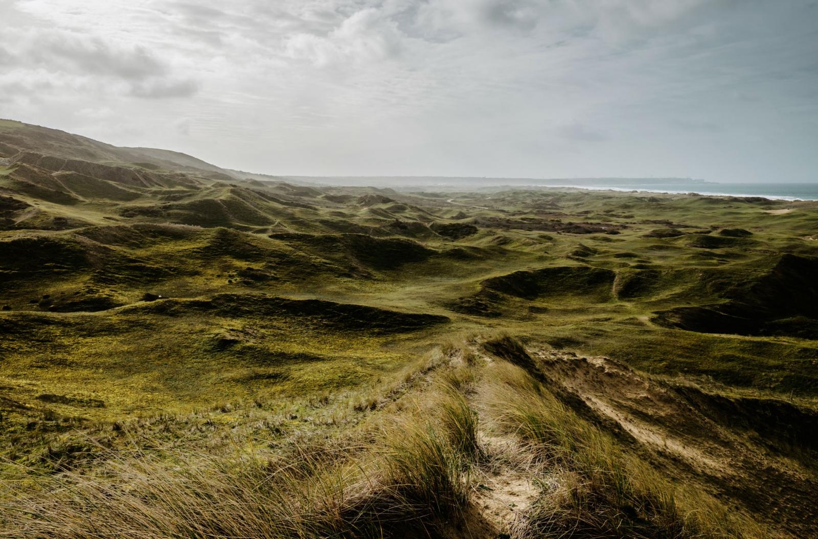 Dunes enherbées